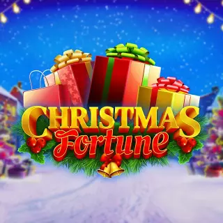 Experience christmas fortune